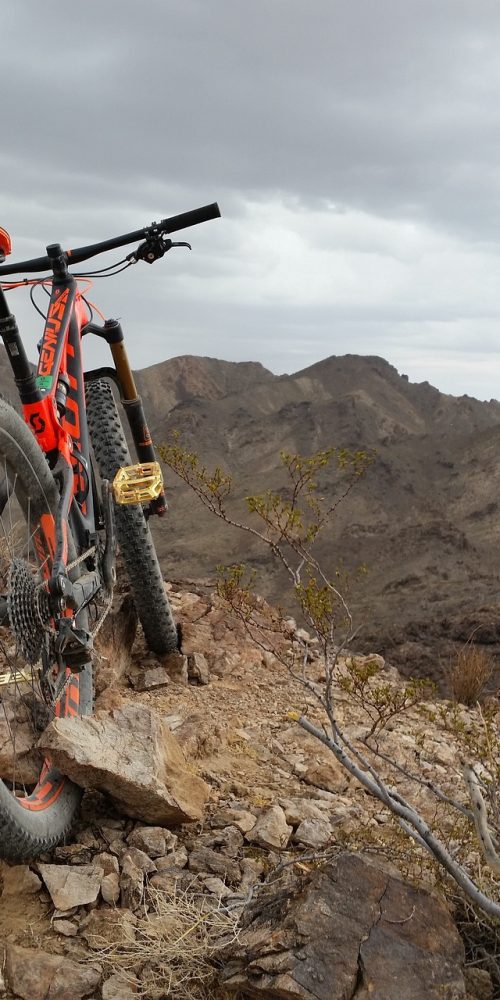 cycling, mountain biking, nature-2655825.jpg